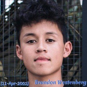 Brandon Westenberg