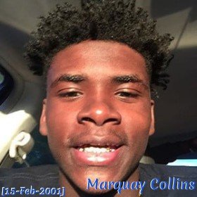 Marquay Collins