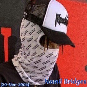 Namil Bridges