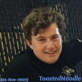 ToastedNoodle