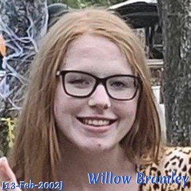 Willow Bramley