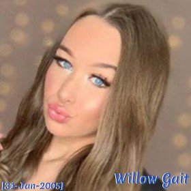 Willow Gait